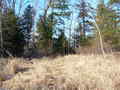 #2: North view 1-28-07