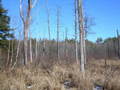 #4: East view 1-28-07