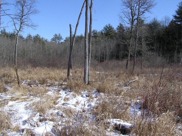 View to the east from confluence