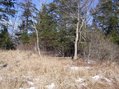 #4: View to the North from confluence