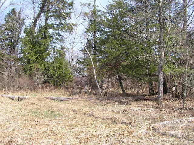 View to the north from the confluence.