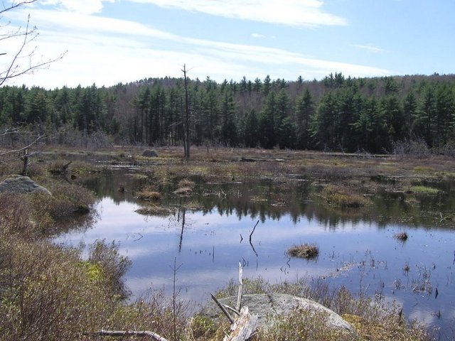 Flooded swamp to the west