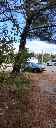 #3: Looking east (towards end of driveway, wife is waiting in the car)