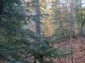#3: looking north