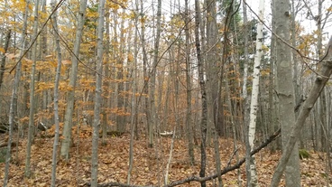 #1: North View