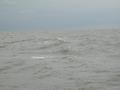 #3: South