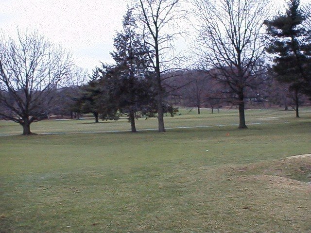 View to the West from confluence