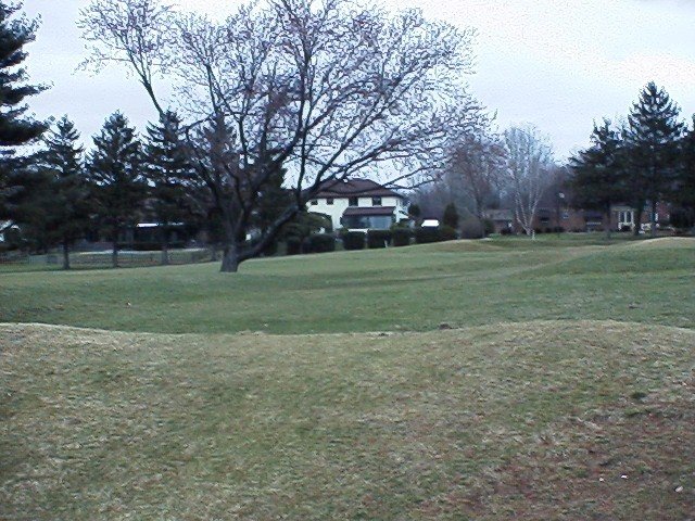 View to North from confluence