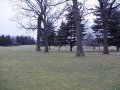 #5: View of confluence from the West (looking East)