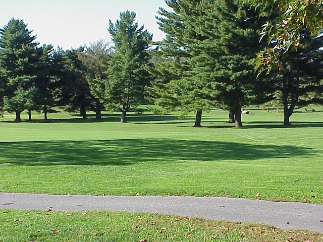 View from the confluence to the west.