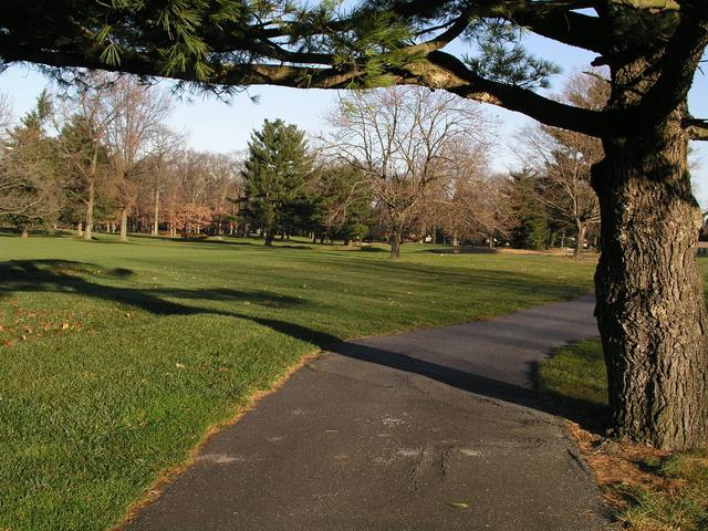 Limbs and long shadows frame the vicinity of 40N 75W