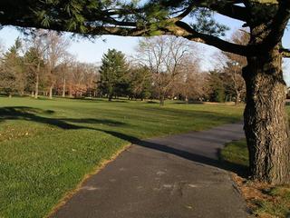 #1: Limbs and long shadows frame the vicinity of 40N 75W