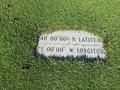 #5: Ground cover at the confluence. 