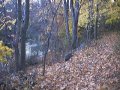 #2: A path on the north bank of the Hackensack River.