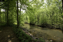 #8: Trout fishing anyone?