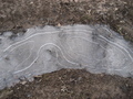 #5: A neat pattern in the ice.