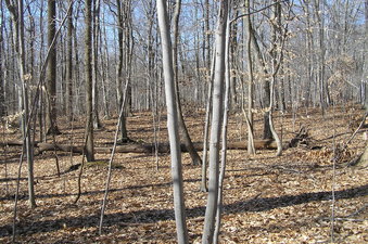 #1: View of 41 North 74 West is in the foreground in this view to the west.