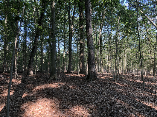 #1: The Confluence from 10 m Distance