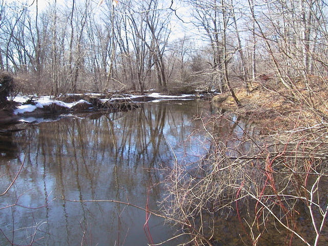 Hackensack River north of confluence
