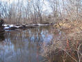 #4: Hackensack River north of confluence