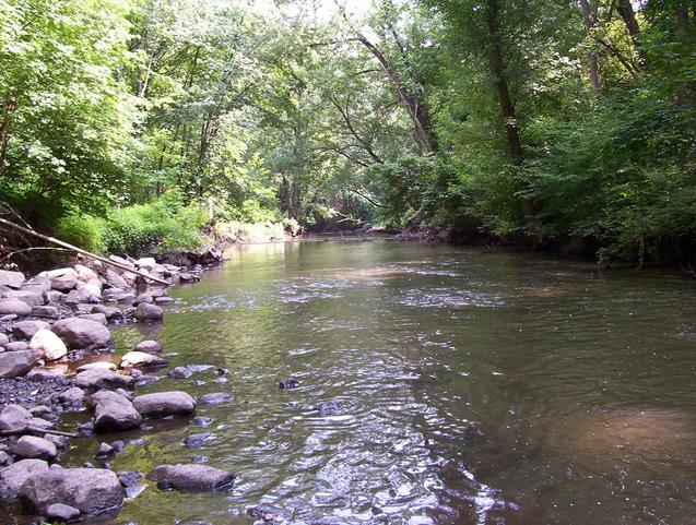 A view of the Hackensack River near the trailhead