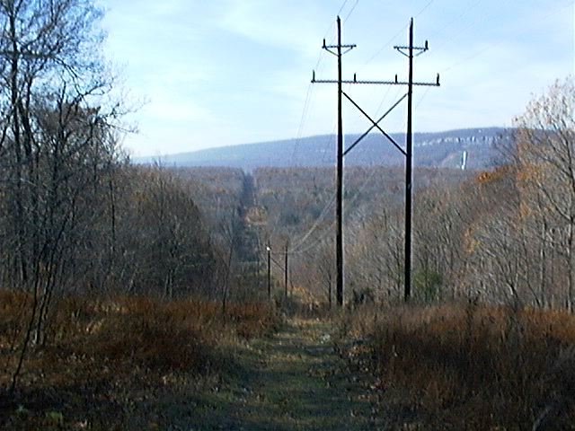 Large towers carrying high voltage cut a swath through the forested area.