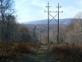 #5: Large towers carrying high voltage cut a swath through the forested area.