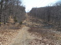 #5: View of the "confluence valley".  The confluence is in the bottom of the valley, on the left side of the clear cut, just past the muddiest spot.