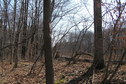 #6: View to the east-southeast from the confluence.