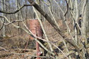 #8: View to the west-northwest from the confluence, showing the barrel mounted almost on top of the confluence point.