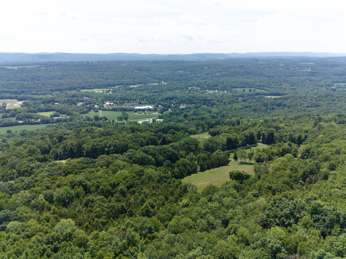 View South, from 120m above the point