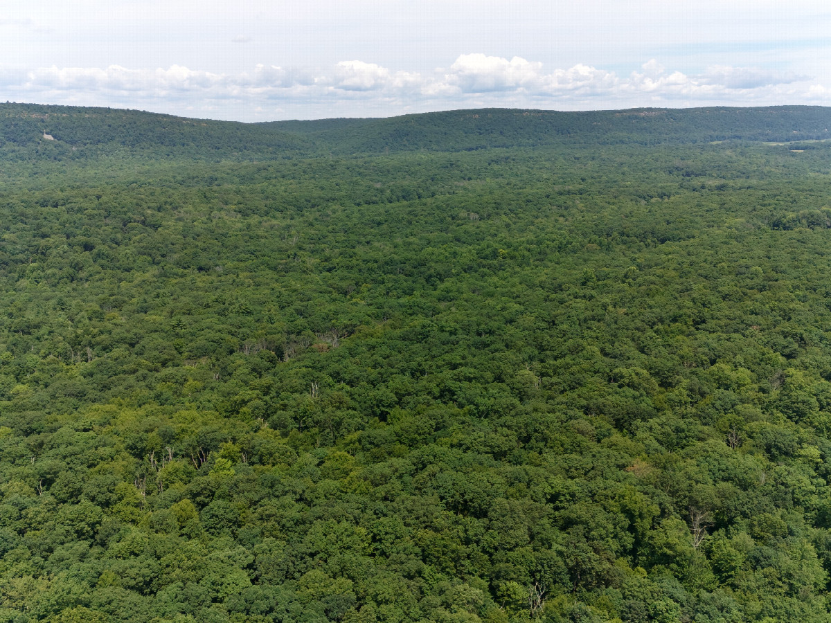 View North, from 120m above the point