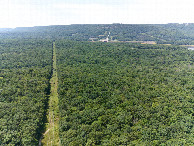 #11: View West, from 120m above the point