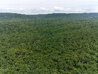 #8: View North, from 120m above the point