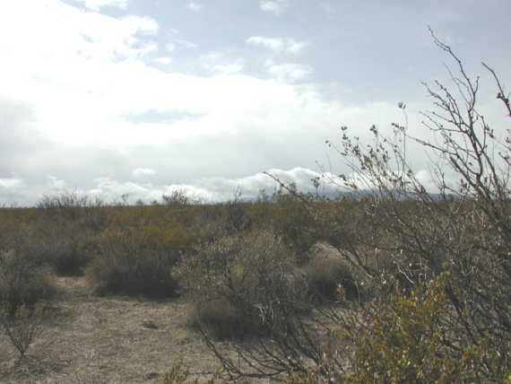 Looking South from Confluence