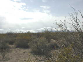 #1: Looking South from Confluence