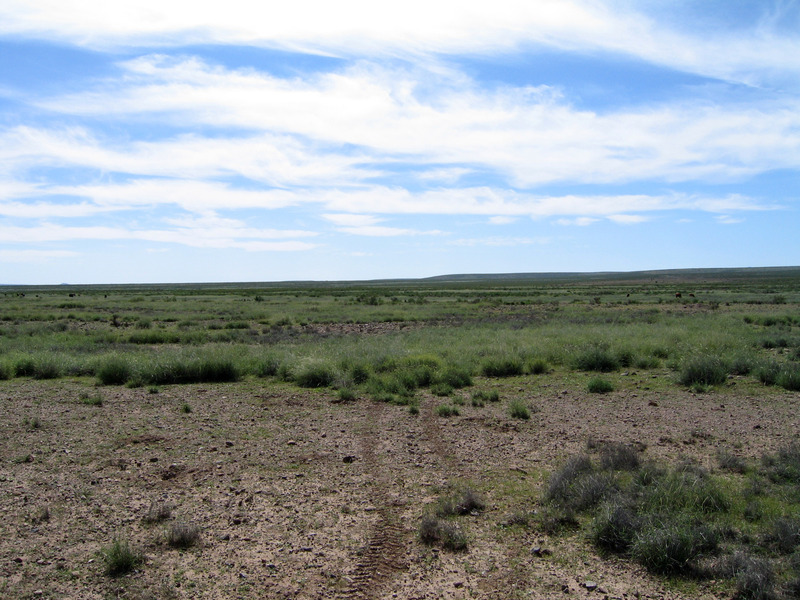 View south