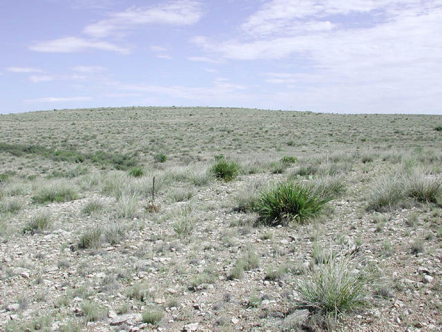 View to the north at the confluence