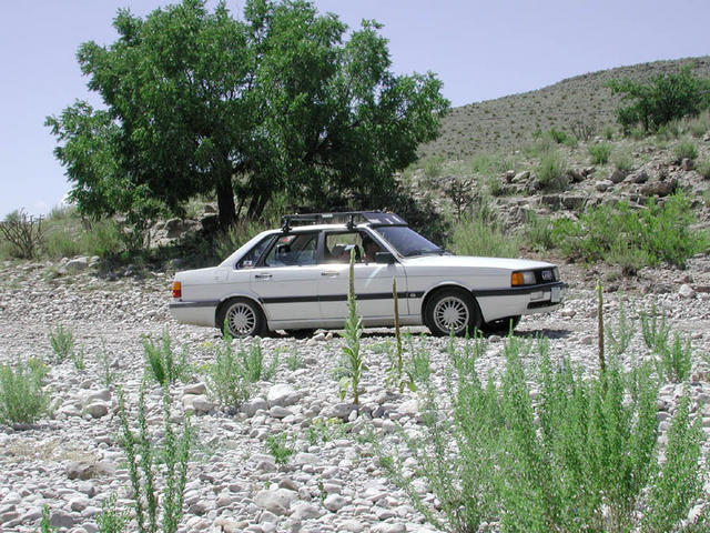 Trusty Audi 4000 forging a dry streambed