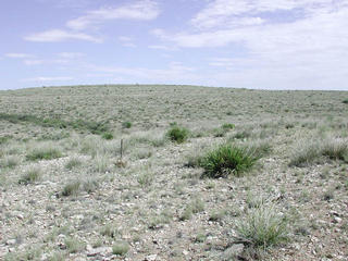 #1: View to the north at the confluence