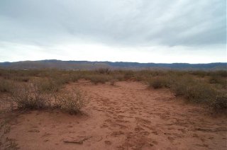 #1: To the east; Hwy 54 and the Sacramento Mountains.