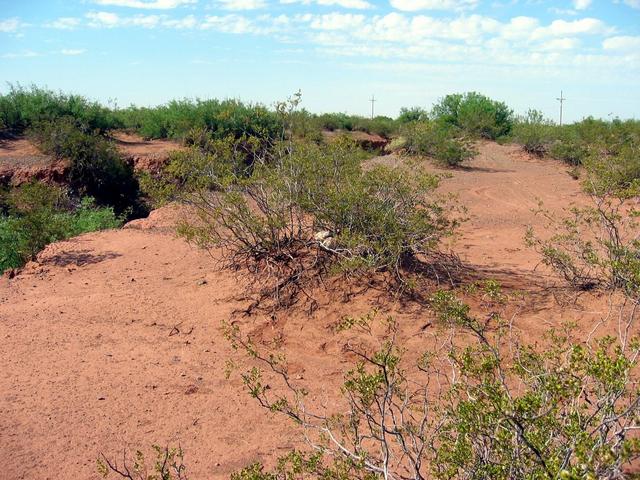 The Confluence and Vicinity