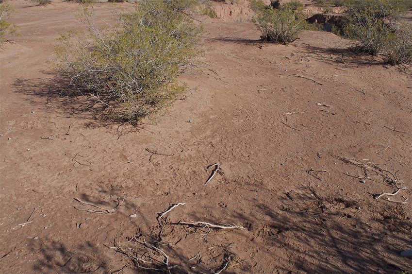 The confluence point lies in a thinly vegetated desert area