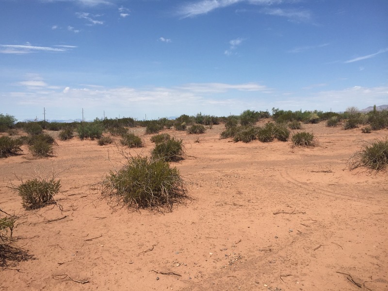 View to the north from the confluence.