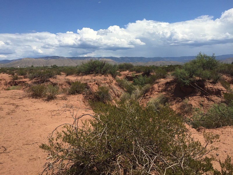 View to the east from the confluence.