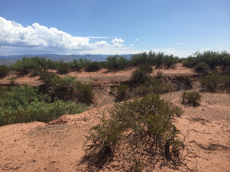 View to the south from the confluence.