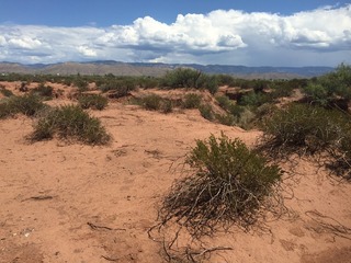 #1: View of the confluence of 33 North 106 West, in the foreground, looking east-northeast.