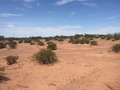 #4: View to the north from the confluence.