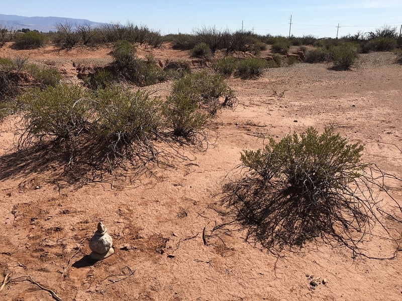 A tiny cairn we placed at the confluence