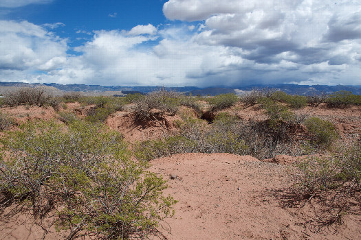 #1: The confluence point lies in a thinly-vegetated desert area.  (This is also a view to the East, towards a small drainage.)